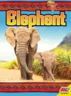 Elephant di Katie Gillespie edito da AV2 BY WEIGL