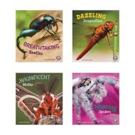 Bugs Are Beautiful! di Catherine Ipcizade, Martha E. H. Rustad edito da CAPSTONE PR