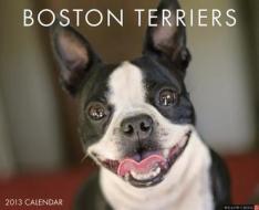 Boston Terriers Calendar edito da Willow Creek Press