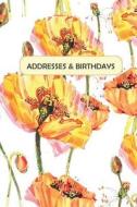 ADDRESSES & BIRTHDAYS di Andante Press edito da INDEPENDENTLY PUBLISHED