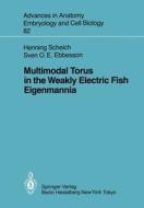 Multimodal Torus in the Weakly Electric Fish Eigenmannia di Sven O. E. Ebbesson, Henning Scheich edito da Springer Berlin Heidelberg