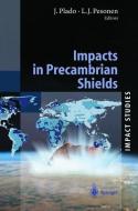 Impacts in Precambrian Shields di Miroslaw J. Majewski, J. Plado, L. J. Pesonen edito da Springer Berlin Heidelberg