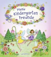 Meine Kindergarten-Freunde (Feen und Elfen) edito da gondolino GmbH