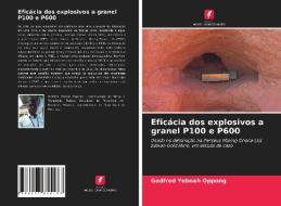 Eficácia dos explosivos a granel P100 e P600 di Godfred Yeboah Oppong edito da Edições Nosso Conhecimento
