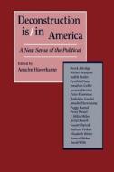 Deconstruction Is/In America di Anselm Haverkamp, H. Robert Dodge edito da New York University Press