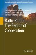 Baltic Region-the Region Of Cooperation edito da Springer Nature Switzerland Ag