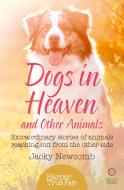 Dogs in Heaven: and Other Animals di Jacky Newcomb edito da HarperCollins Publishers