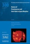 Nature of Prominences and their Role in Space Weather (IAU S300) di Brigitte Schmieder edito da Cambridge University Press