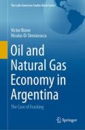 Oil and Natural Gas Economy in Argentina di Nicolas Di Sbroiavacca, Victor Bravo edito da Springer International Publishing