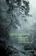 Otherworld, Underworld, Prayer Porch di David Bottoms edito da COPPER CANYON PR