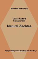 Natural Zeolites di E. Galli, G. Gottardi edito da Springer Berlin Heidelberg
