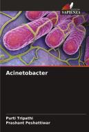 Acinetobacter di Purti Tripathi, Prashant Peshattiwar edito da Edizioni Sapienza
