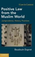 Positive Law From The Muslim World di Baudouin Dupret edito da Cambridge University Press