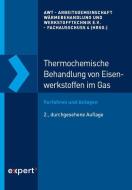 Thermochemische Behandlung von Eisenwerkstoffen im Gas edito da Expert-Verlag GmbH