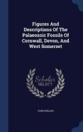 Figures And Descriptions Of The Palaeozoic Fossils Of Cornwall, Devon, And West Somerset di John Phillips edito da Sagwan Press