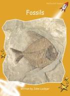 Fossils di John Lockyer edito da Flying Start Books Ltd