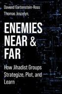 Enemies Near And Far di Daveed Gartenstein-Ross, Thomas Joscelyn edito da Columbia University Press