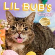 Lil Bub 2018 Wall Calendar di Lil Bub edito da Abrams