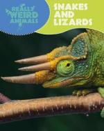 Snakes And Lizards di Clare Hibbert edito da Hachette Children\'s Group