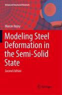 Modeling Steel Deformation in the Semi-Solid State di Marcin Hojny edito da Springer International Publishing