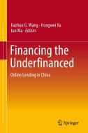 Financing the Underfinanced edito da Springer-Verlag GmbH