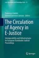 The Circulation of Agency in E-Justice edito da Springer Netherlands