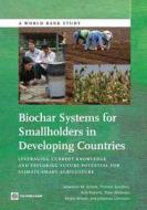 Biochar Systems for Smallholders in Developing Countries di Sebastian Scholz edito da World Bank Group Publications