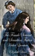 The Female Servant and Sensation Fiction di E. Steere edito da Palgrave Macmillan