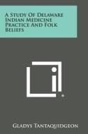 A Study of Delaware Indian Medicine Practice and Folk Beliefs di Gladys Tantaquidgeon edito da Literary Licensing, LLC