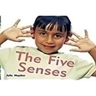 Rigby Focus Emergent: Leveled Reader Bookroom Package Nonfiction (Levels A-E) the Five Senses di Rigby edito da Rigby