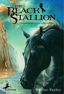 The Black Stallion di Walter Farley edito da TURTLEBACK BOOKS