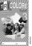 Tricolore Total 3 Grammar in Action Workbook (8 Pack) di Sylvia Honnor, S. Honnor, Heather Mascie-Taylor edito da OXFORD UNIV PR