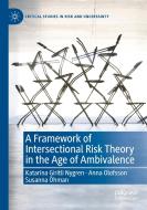 A Framework of Intersectional Risk Theory in the Age of Ambivalence di Katarina Giritli Nygren, Susanna Öhman, Anna Olofsson edito da Springer International Publishing