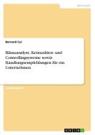 Bilanzanalyse, Kennzahlen- und Controllingsysteme sowie Handlungsempfehlungen für ein Unternehmen di Bernard Cui edito da GRIN Verlag