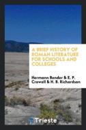 A Brief History of Roman Literature for Schools and Colleges di Hermann Bender, E. P. Crowell, H. B. Richardson edito da LIGHTNING SOURCE INC