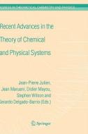 Recent Advances in the Theory of Chemical and Physical Systems: Proceedings of the 9th European Workshop on Quantum Syst edito da SPRINGER NATURE