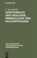 W Rterbuch Der Geologie, Mineralogie Und Pal Ontologie di Carl Walter Schmidt edito da Walter de Gruyter