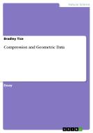 Compression and Geometric Data di Bradley Tice edito da Grin Verlag Gmbh