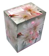 Three-drawer Card Box 60 Gift Cards And Envelopes: Fabulous Flowers di Peony Press edito da Anness Publishing