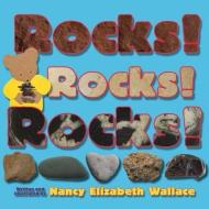 Rocks! Rocks! Rocks! di Nancy Elizabeth Wallace edito da TWO LIONS