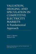 Valuation, Hedging and Speculation in Competitive Electricity Markets di Marija Ilic, Petter L. Skantze edito da Springer US
