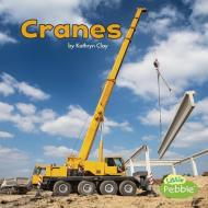 Cranes di Kathryn Clay edito da CAPSTONE PR