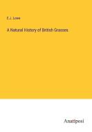 A Natural History of British Grasses di E. J. Lowe edito da Anatiposi Verlag