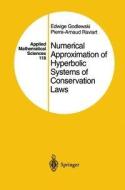 Numerical Approximation of Hyperbolic Systems of Conservation Laws di Edwige Godlewski, Pierre-Arnaud Raviart edito da Springer New York