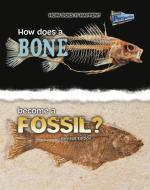How Does a Bone Become a Fossil? di Melissa Stewart edito da RAINTREE