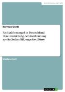 Fachkräftemangel in Deutschland. Herausforderung der Anerkennung ausländischer Bildungsabschlüsse di Norman Groth edito da GRIN Verlag