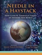 Needle in a Haystack di Diane Phelps Budden edito da BOOKBABY