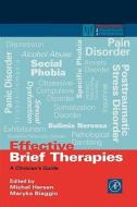 Effective Brief Therapies: A Clinician's Guide edito da ACADEMIC PR INC
