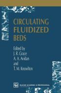 Circulating Fluidized Beds edito da Springer Netherlands