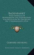 Badenfahrt: Wurttembergische Mineralbader Und Sauerbrunnen Vom Mittelalter Bis Zum Beginn Des 19 Jahrhunderts (1914) di Gebhard Mehring edito da Kessinger Publishing
